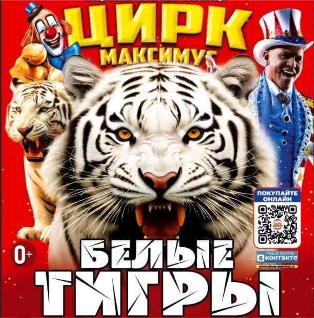 Цирк Максимус в г.Чебоксары​ 2025 этнокомплекс "Амазония" (парк им. 500-летия Чебоксар)