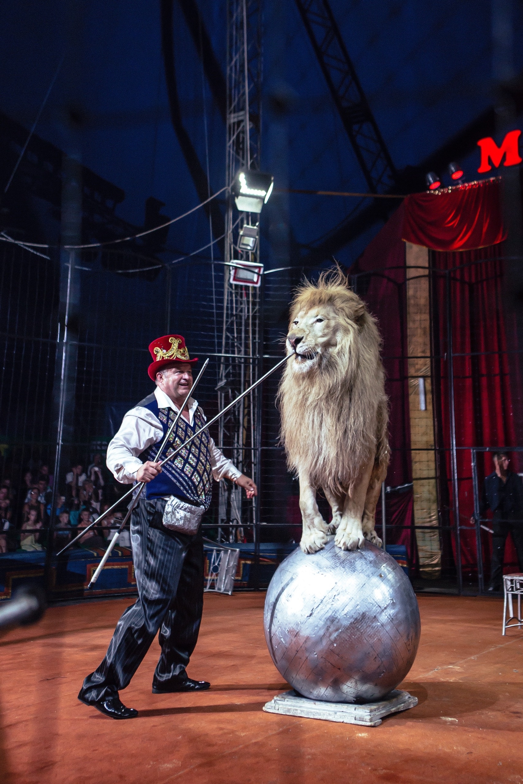 Цирк Maximus в Набережных Челнах