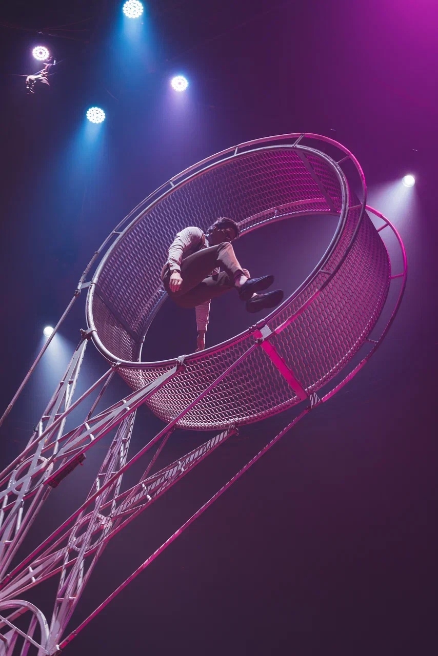 Цирк Максимус 2026