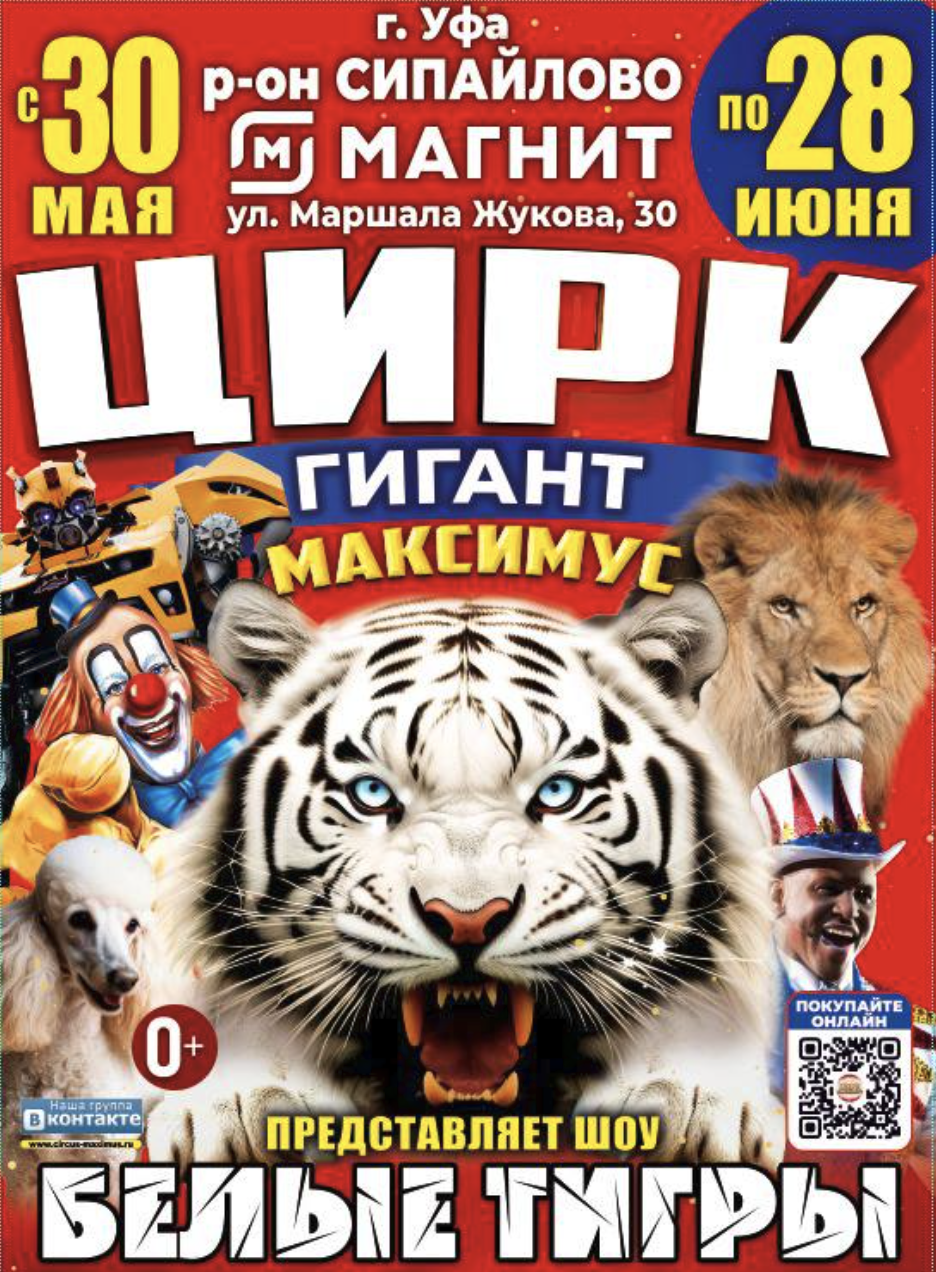 Афиша Цирк Максимус в г.Уфа район Сипайлово около ТЦ Магнит с 30 мая по 28 июня 2026
