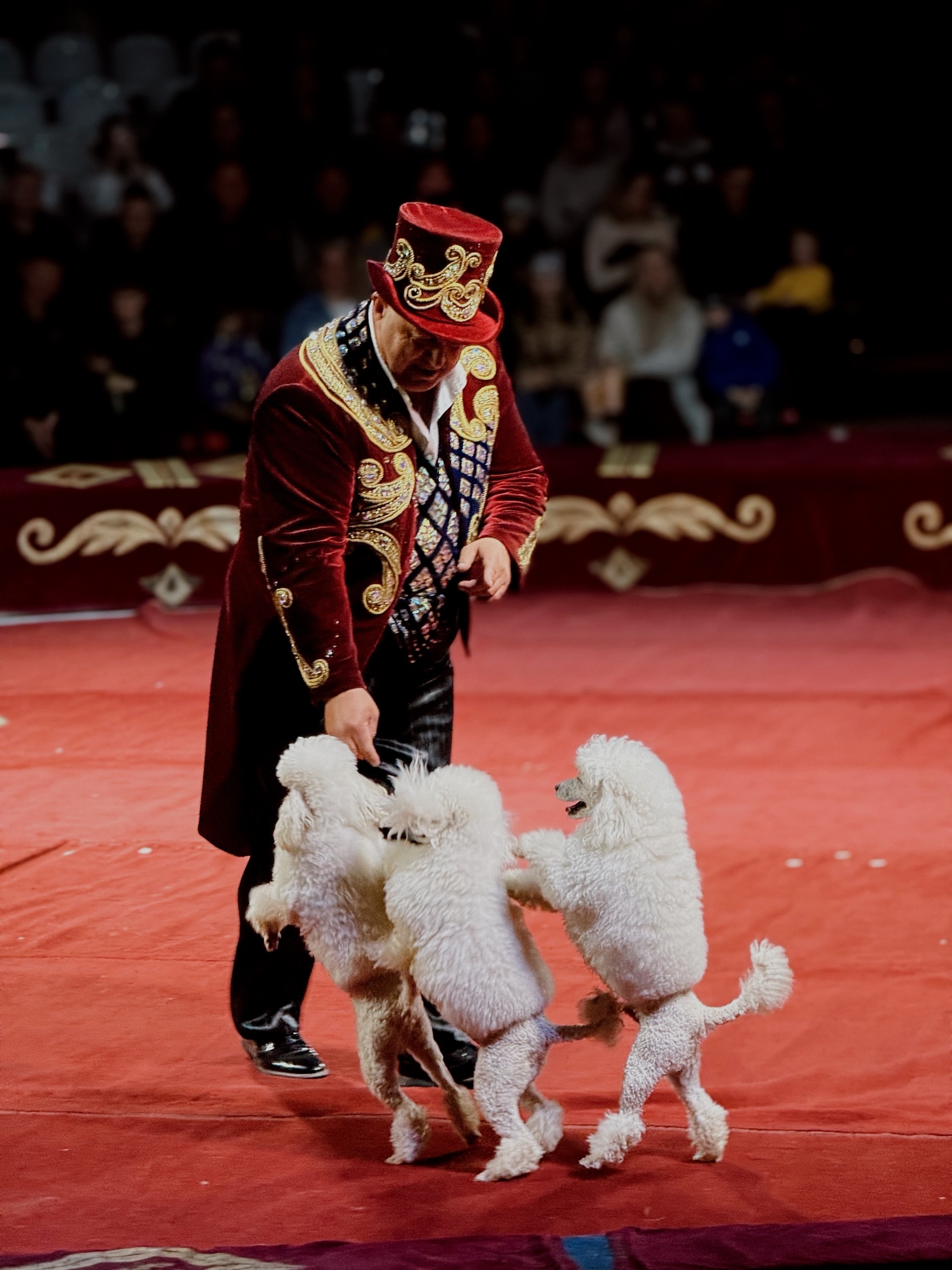 Цирк Maximus в Уфе